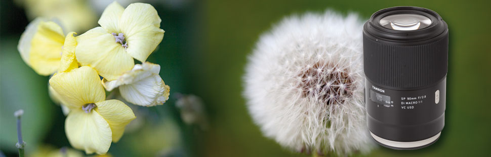 Mit dem „SP 90mm F/2.8 Di MACRO 1:1 VC USD“ bietet Tamron ein sehr leistungsstarkes Makro-Objektiv für Kameras mit Vollformatsensoren und Canon-, Nikon- und Sony-A-Bajonett an.