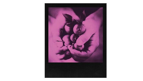 Impossible „Black & Pink Duochrome“ (Foto: Gabriela Tulian)