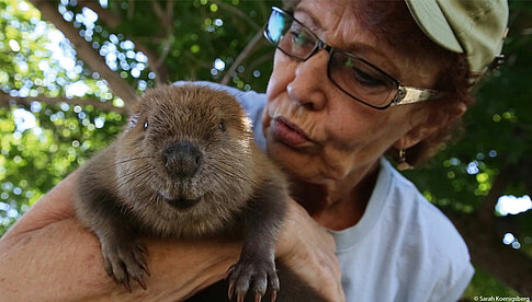 Banff Centre Mountain Film Festival World Tour - The Beaver Believers von Sarah Koenigsberg