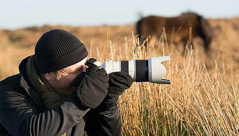 Sony #alphaddicted: Manfred Buschmann fotografierte mit dem Kamera-/Objektiv-Koffer Wildpfere im englischen Exmoor-Nationalpark   (Foto: Manfred Buschmann).