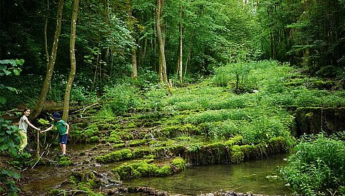 Platz 2 des Wettbewerbs von National Geographic und Olympus: „Sinterterrassen im Lillachtal“ von Klemens Siebenhaar