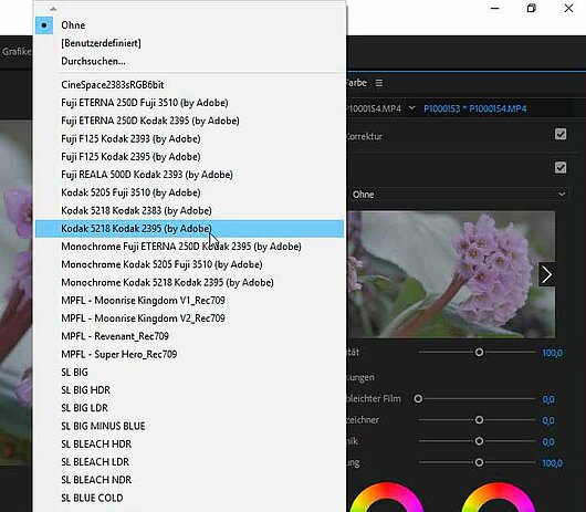 Man kann eine der mitgelieferten LUTs wählen oder per „Durchsuchen...“-Befehl eine beliebige LUT von der Festplatte laden.