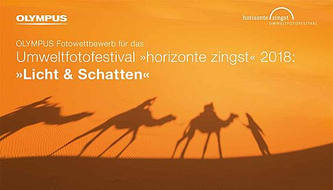 Wettbewerb „Licht und Schatten“ von Olympus und „horizonte Zingst“