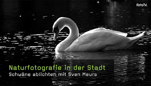 FotoTv.de - Landschaftsfotos in der Großstadt