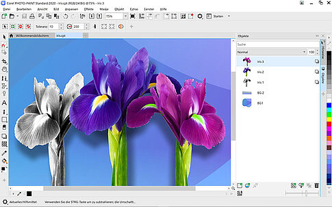 In CorelDRAW Standard 2020 enthalten: das Bildbearbeitungsprogramm Corel PHOTO-PAINT Standard 2020