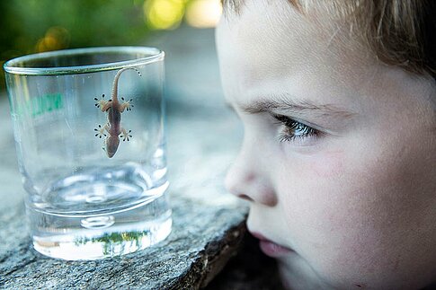 deutscher preis für wissenschaftsfotografie: Gewinner „Einzelfoto“ 2015 - Paul Hahn