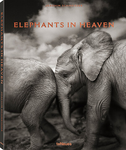 Elephants in Heaven