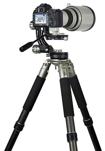 Lion Rock Mark II Stativ mit Gimbal