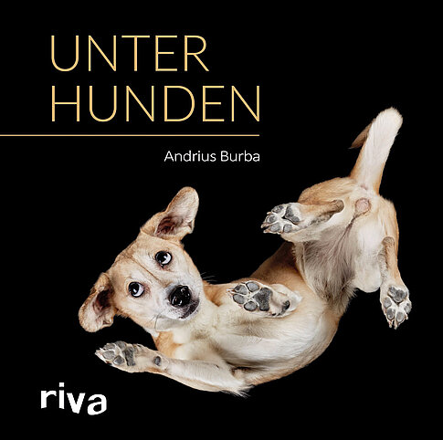 Unter Hunden