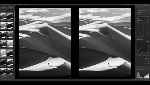 Ein Screenshot von Silver Efex Pro 2