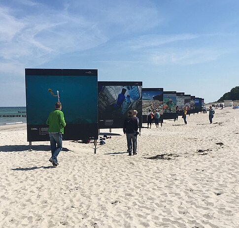 Auch die Exponate für die große Strandausstellung druckt Epson für „horizonte zingst“.  (Foto: Epson) 