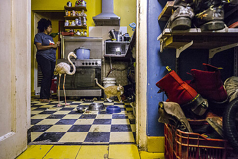 Der Flamingo Bob ist auf Curaçao tierischer Botschafter einer Naturschutzorganisation und Star von Jasper Doests Bilderserie „Meet Bob“.