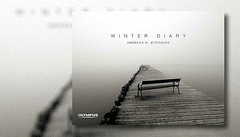 Andreas H. Bitesnich: "Winter Diary"